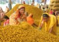 भारत सरकार ने राष्ट्रीय हल्दी बोर्ड के गठन को अधिसूचित किया