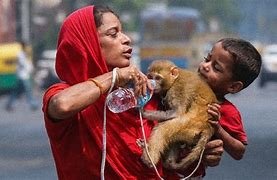 IMD ने बंगाल समेत इन राज्यों के लिए भीषण गर्मी ‘लू’ के कारण किया रेड अलर्ट जारी