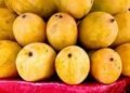 मालदा के आम ने घरेलू बाजार में भरी म‍िठास, निर्यात में पड़ी फ‍िक्‍की