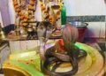 NAG PANCHAMI व‍िशेष : कोई बना रस्‍सी तो क‍िसी ने फन पर धारण क‍िया पृथ्वी को, जानें ग्रंथों में वर्णित प्रमुख नागों के बारें में