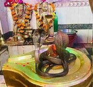 NAG PANCHAMI व‍िशेष : कोई बना रस्‍सी तो क‍िसी ने फन पर धारण क‍िया पृथ्वी को, जानें ग्रंथों में वर्णित प्रमुख नागों के बारें में
