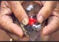 pitra paksha 2024 : पितृ तर्पण की सरल विधि