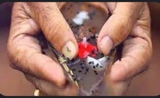 pitra paksha 2024 : पितृ तर्पण की सरल विधि