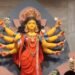 9 औषधियों के पेड़ पौधे जिन्हें नवदुर्गा कहा गया है