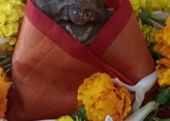 डिवाइन ब्लेसिंग अकादमी में हुई गोबर से निर्मित माँ सरस्वती की पूजा